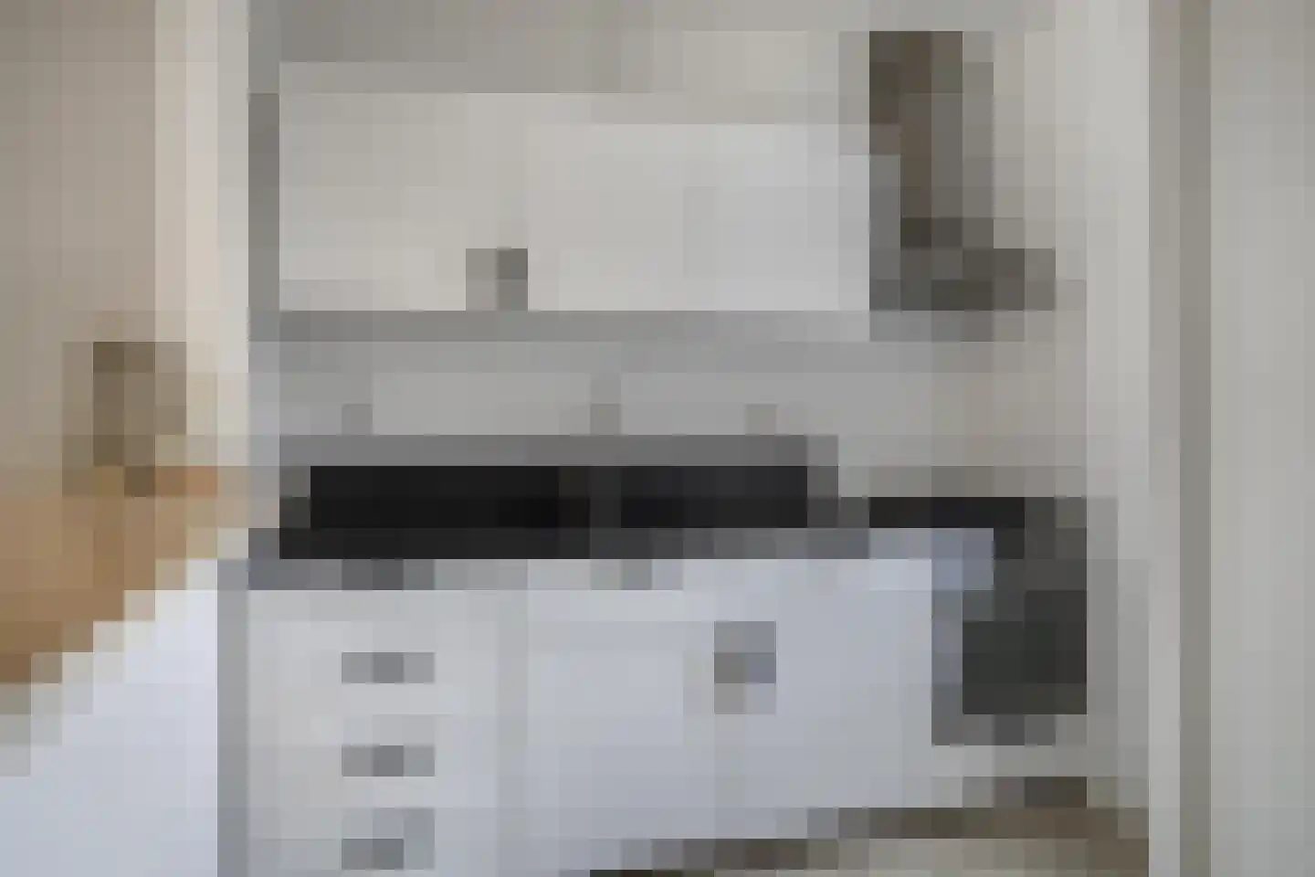Fazant 19 Grijpskerk thumbnail 21