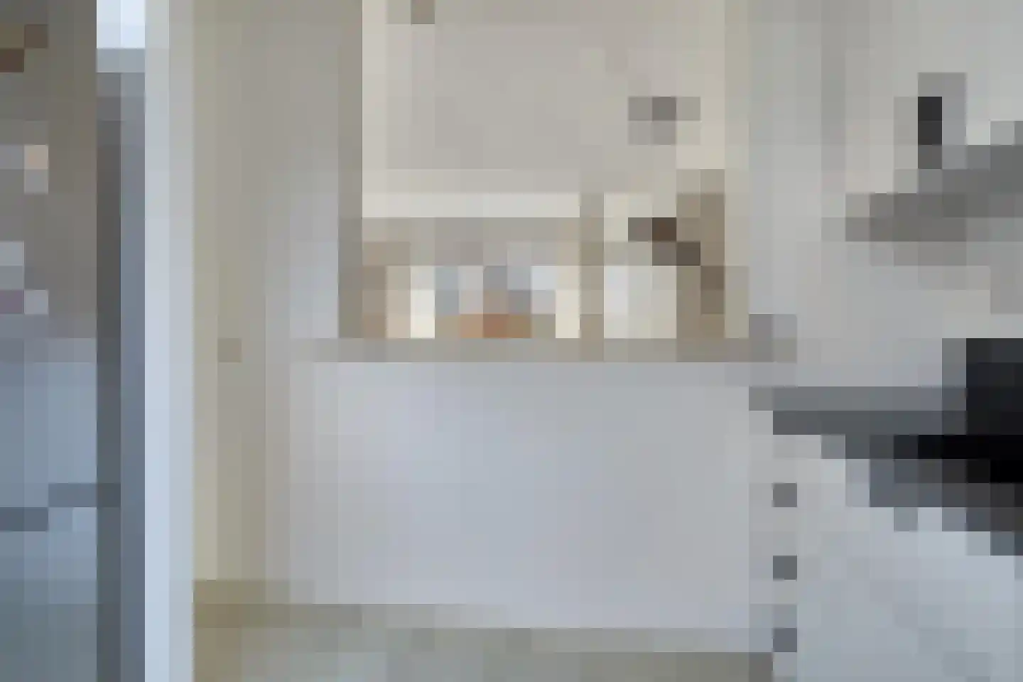 Fazant 19 Grijpskerk thumbnail 23