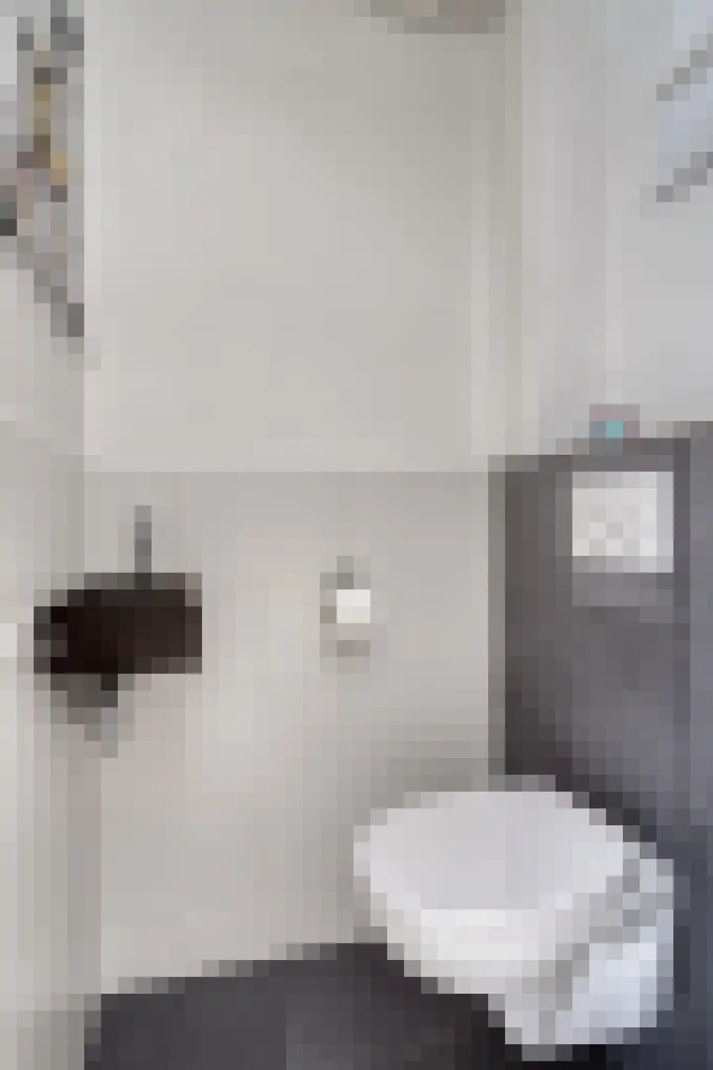 Fazant 19 Grijpskerk thumbnail 28
