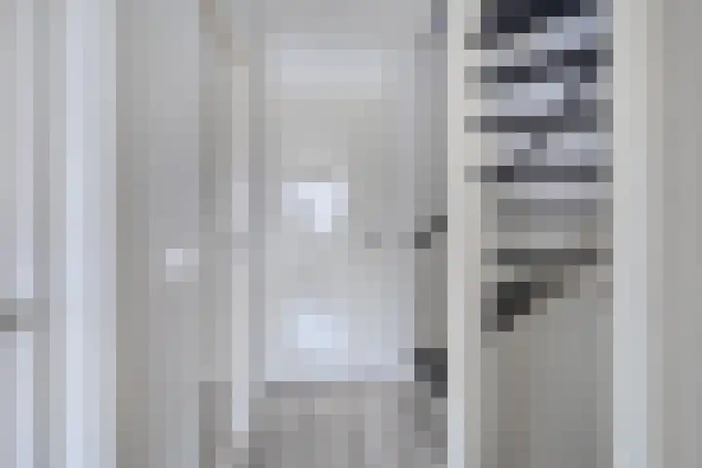 Fazant 19 Grijpskerk thumbnail 29
