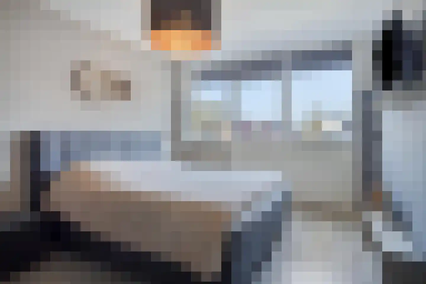 Fazant 19 Grijpskerk thumbnail 31