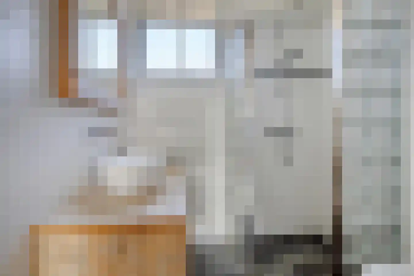 Fazant 19 Grijpskerk thumbnail 33