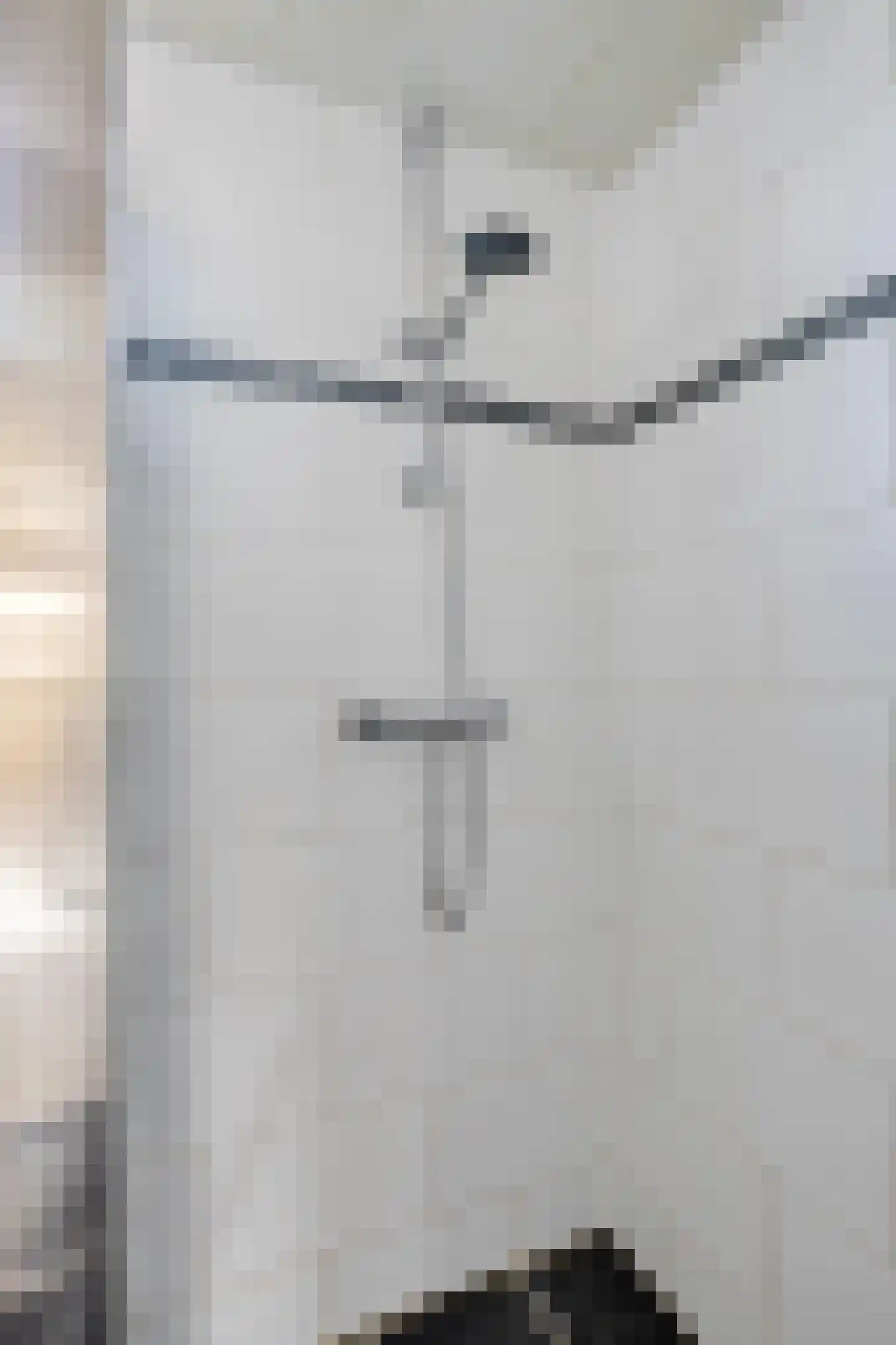 Fazant 19 Grijpskerk thumbnail 35
