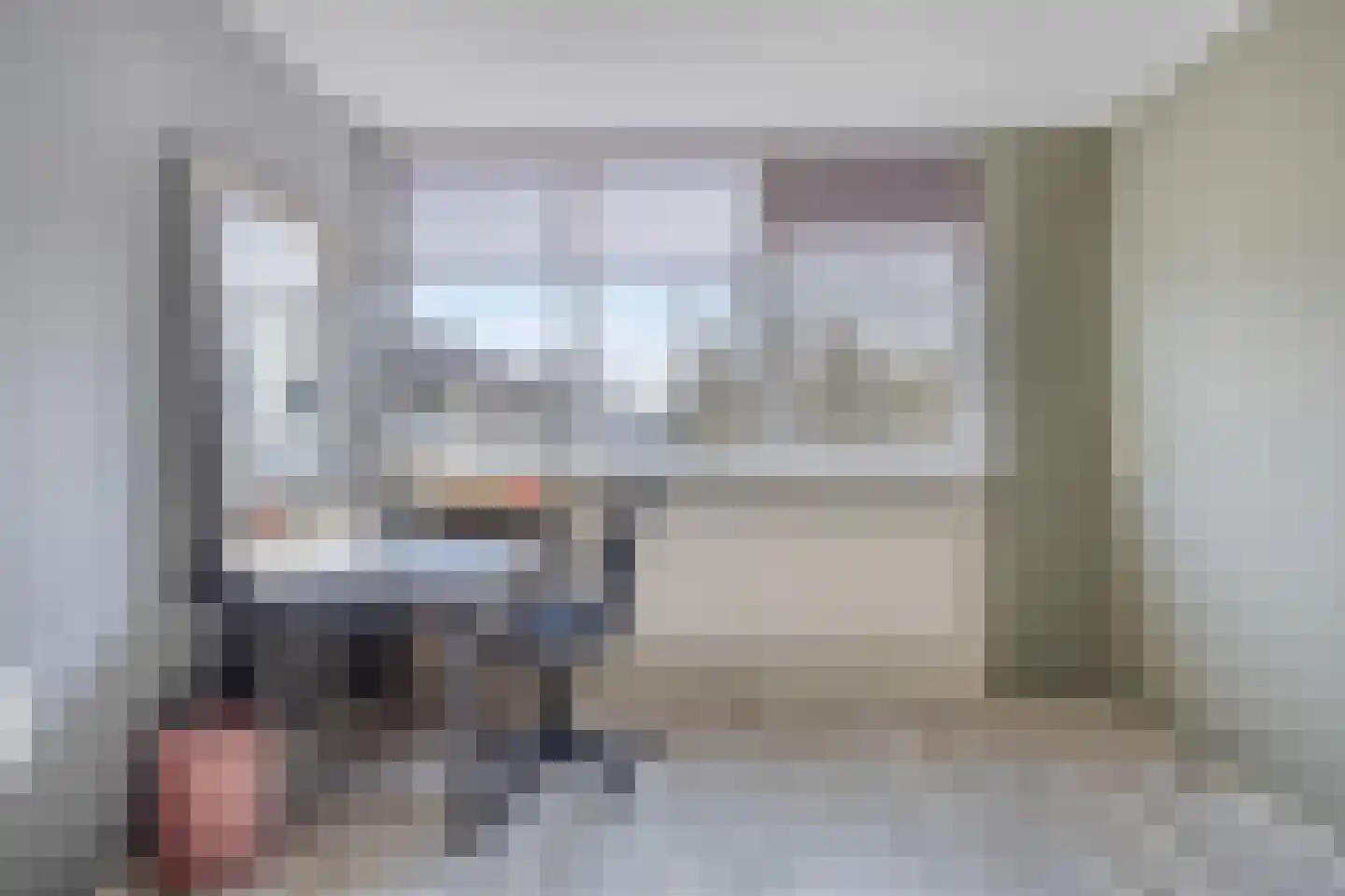 Fazant 19 Grijpskerk thumbnail 38