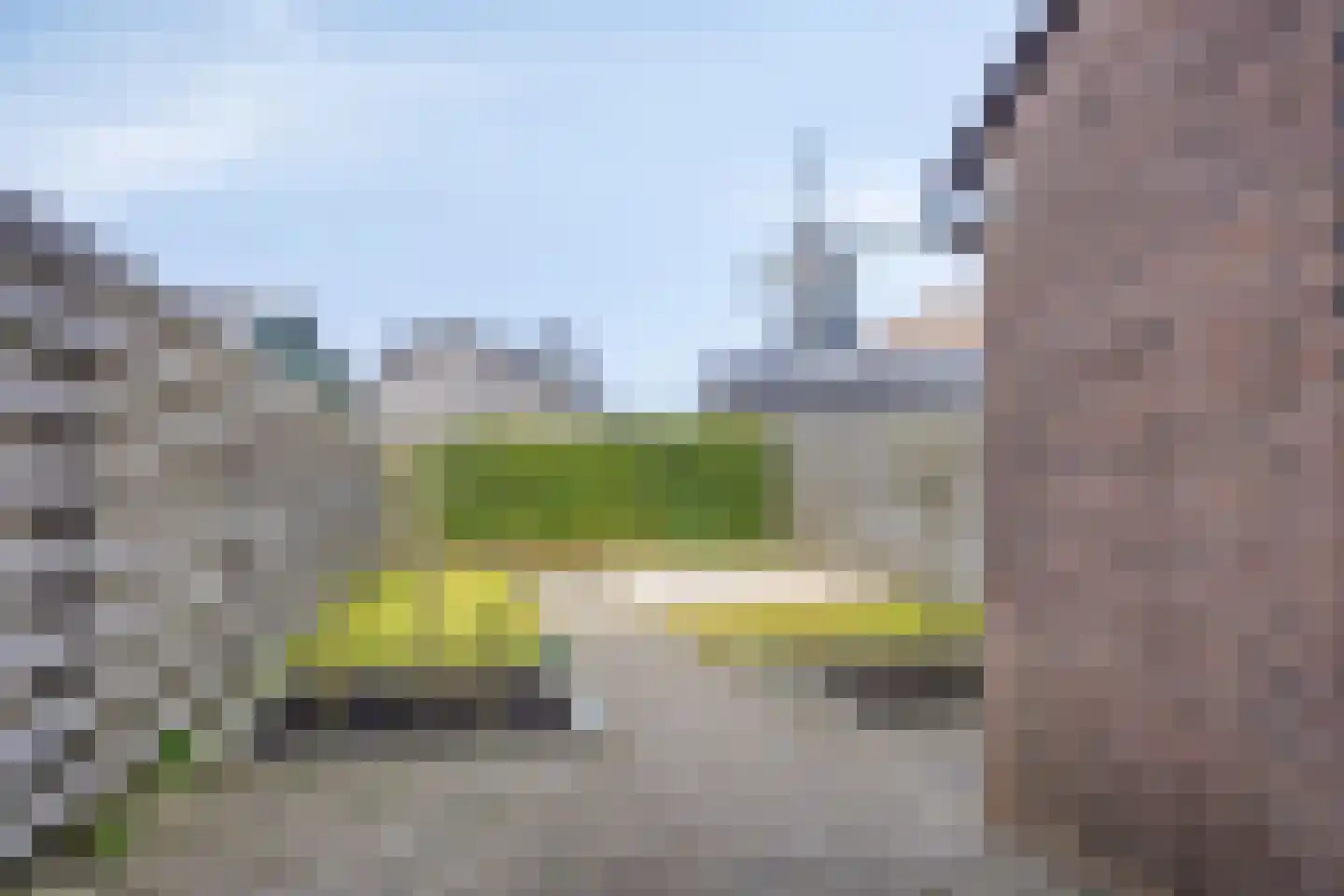 Fazant 19 Grijpskerk thumbnail 41