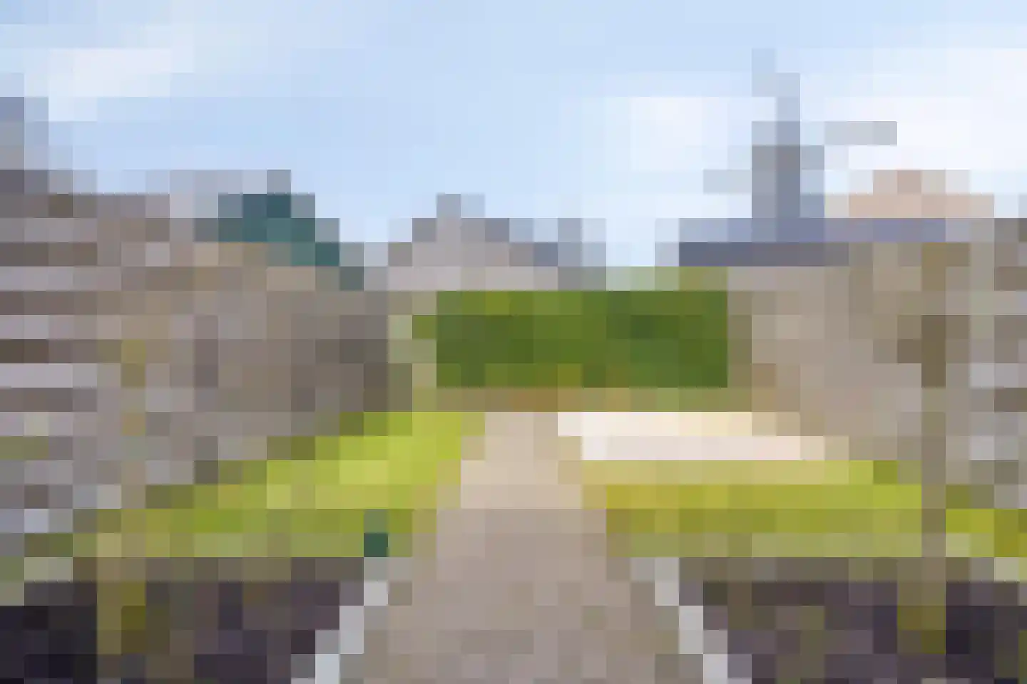 Fazant 19 Grijpskerk thumbnail 42