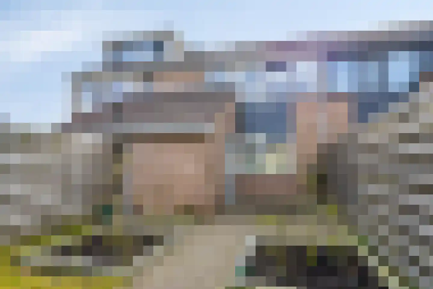 Fazant 19 Grijpskerk thumbnail 43