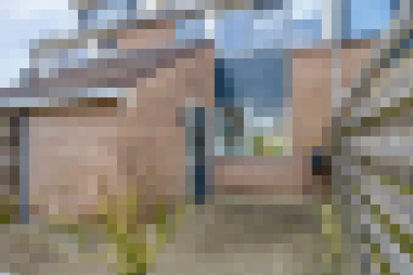Fazant 19 Grijpskerk thumbnail 45