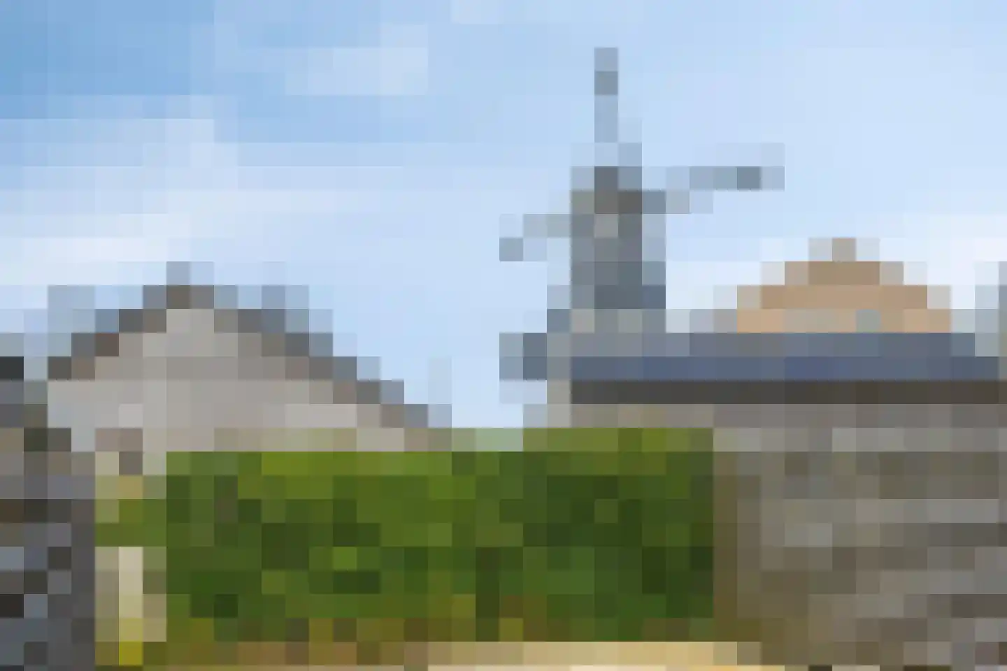 Fazant 19 Grijpskerk thumbnail 46