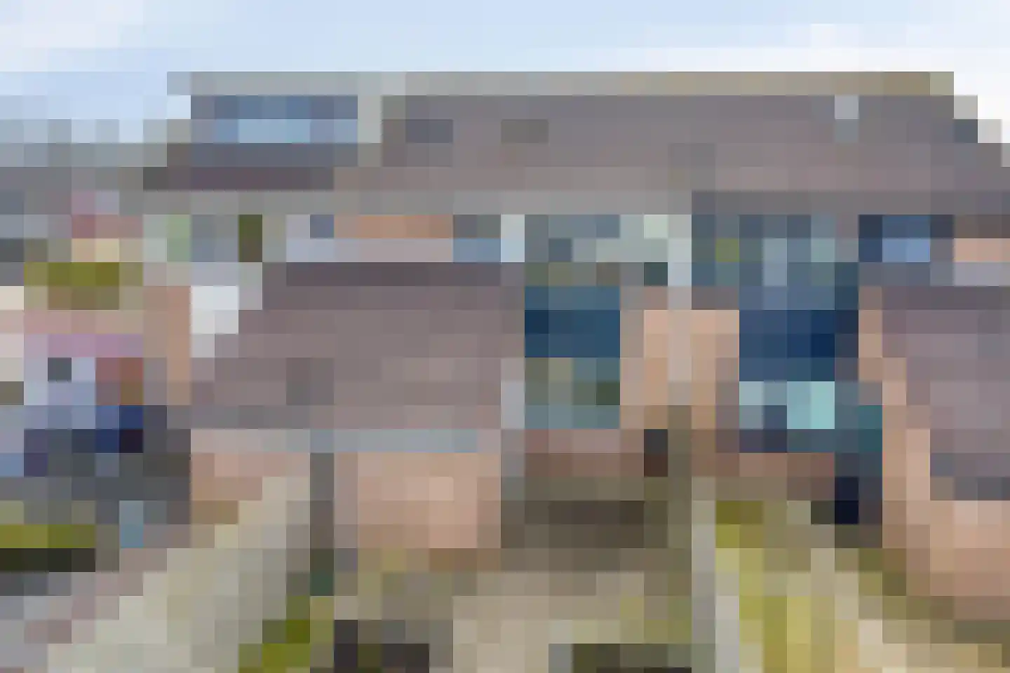Fazant 19 Grijpskerk thumbnail 47