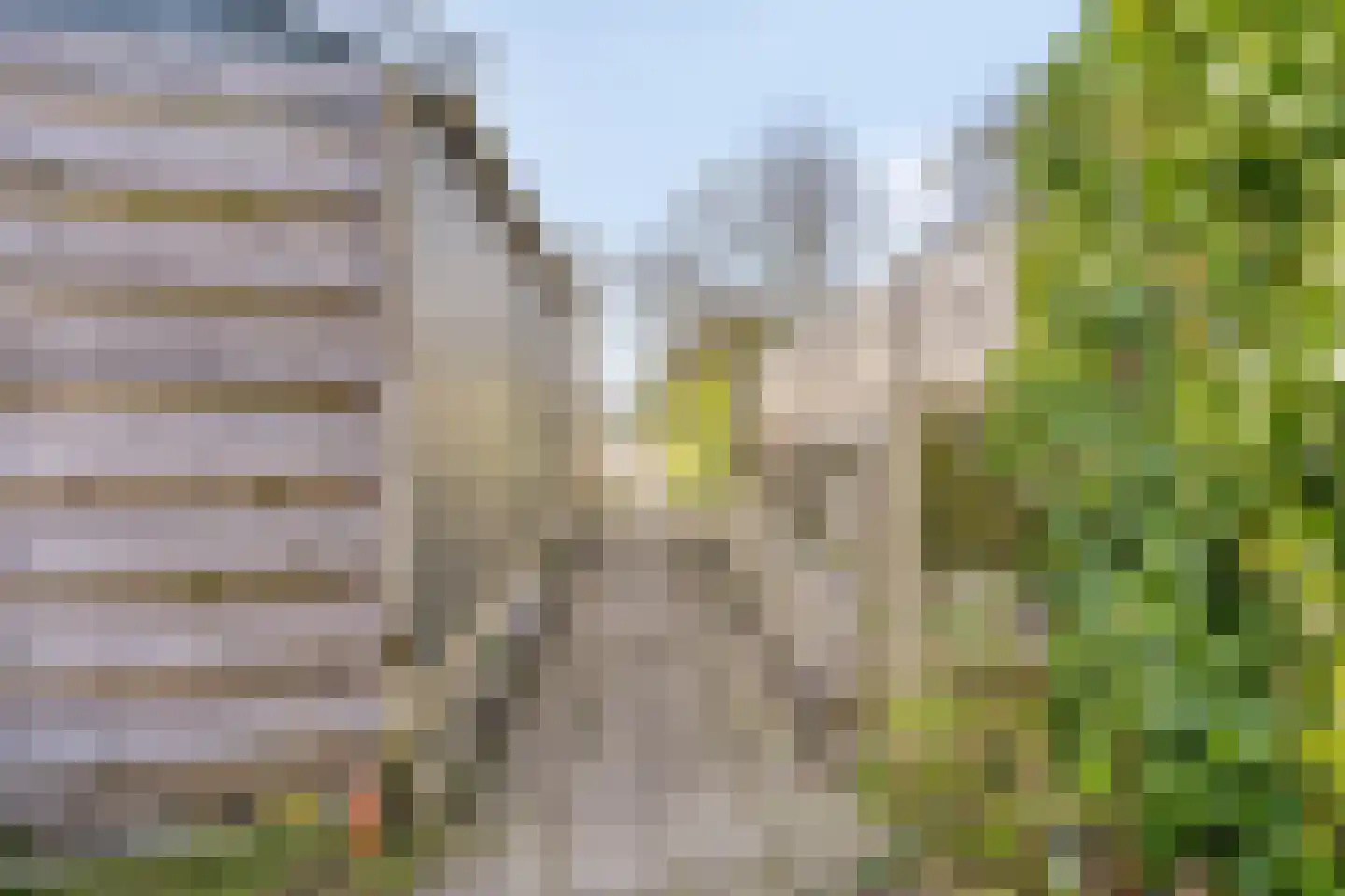 Fazant 19 Grijpskerk thumbnail 48