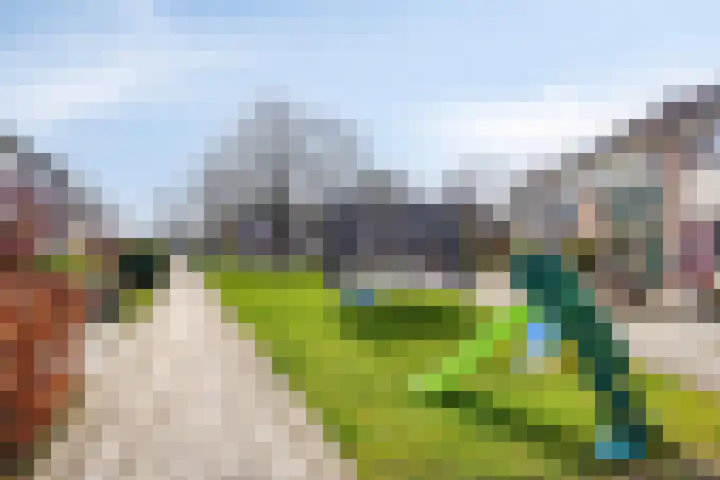 Fazant 19 Grijpskerk thumbnail 49