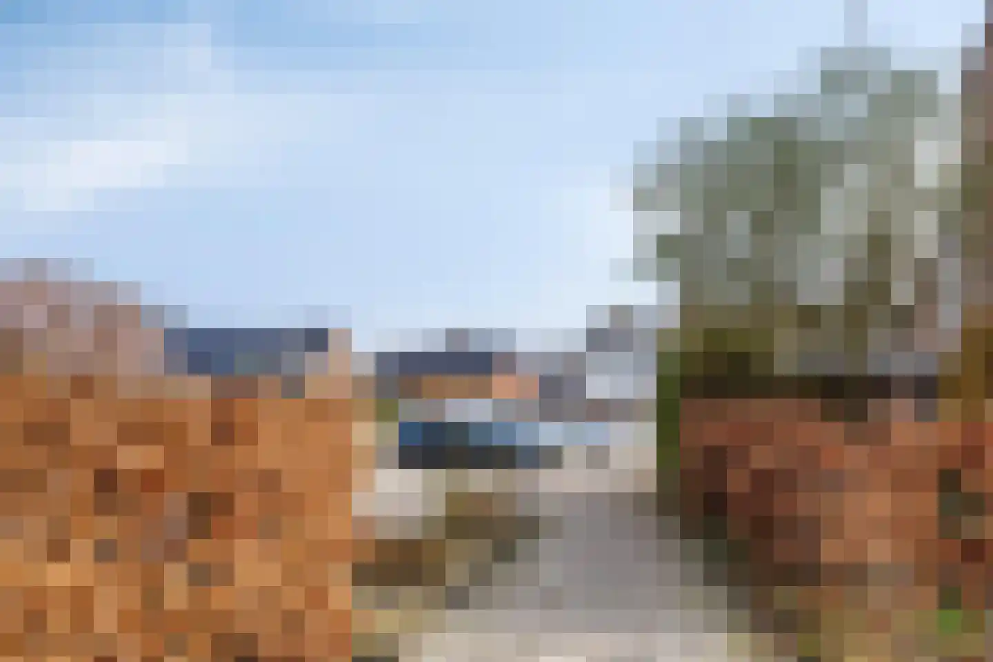 Fazant 19 Grijpskerk thumbnail 50