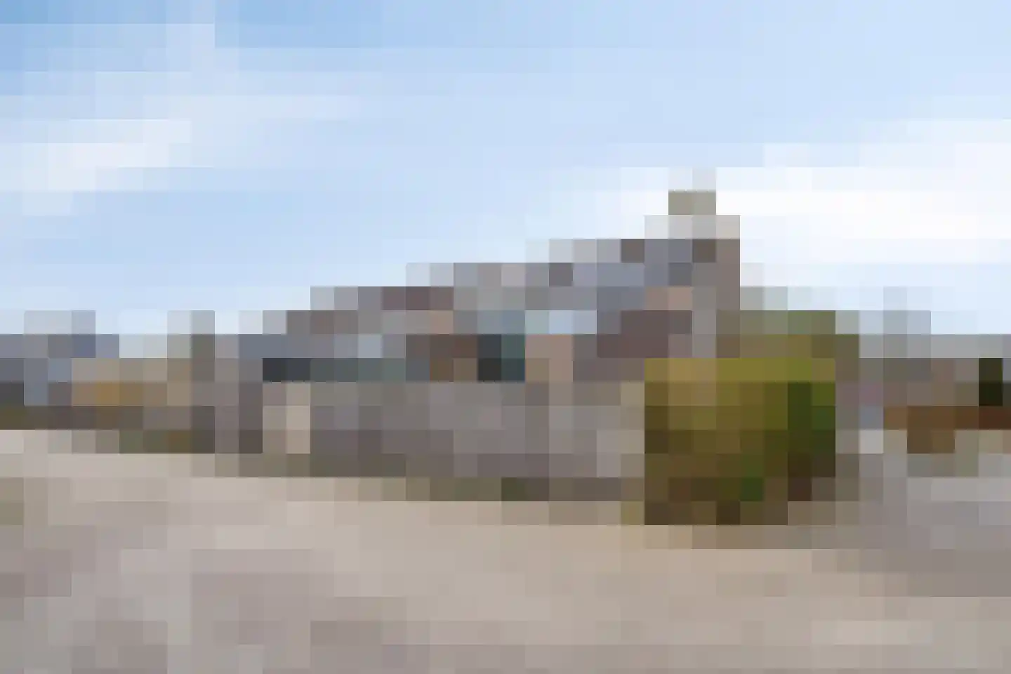 Fazant 19 Grijpskerk thumbnail 51