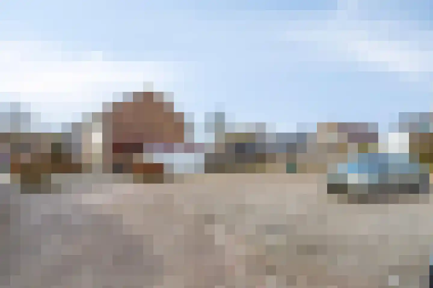 Fazant 19 Grijpskerk thumbnail 52
