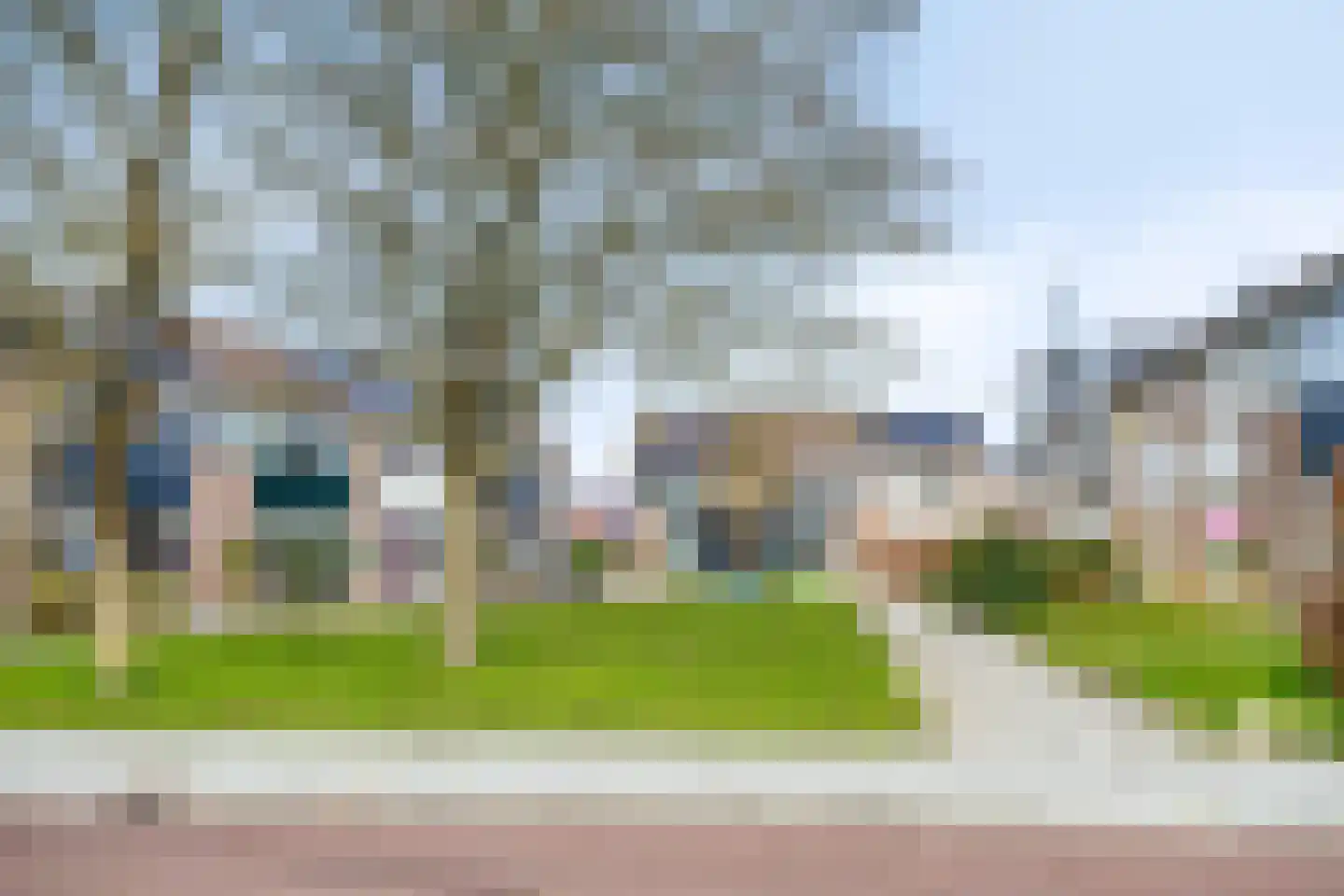 Fazant 19 Grijpskerk thumbnail 53