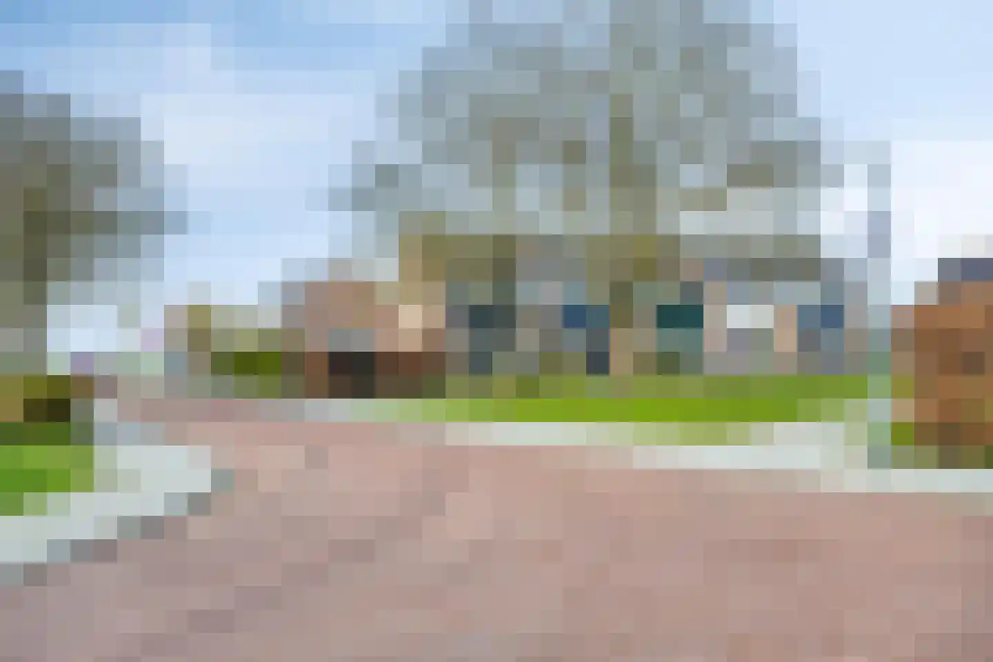 Fazant 19 Grijpskerk thumbnail 55