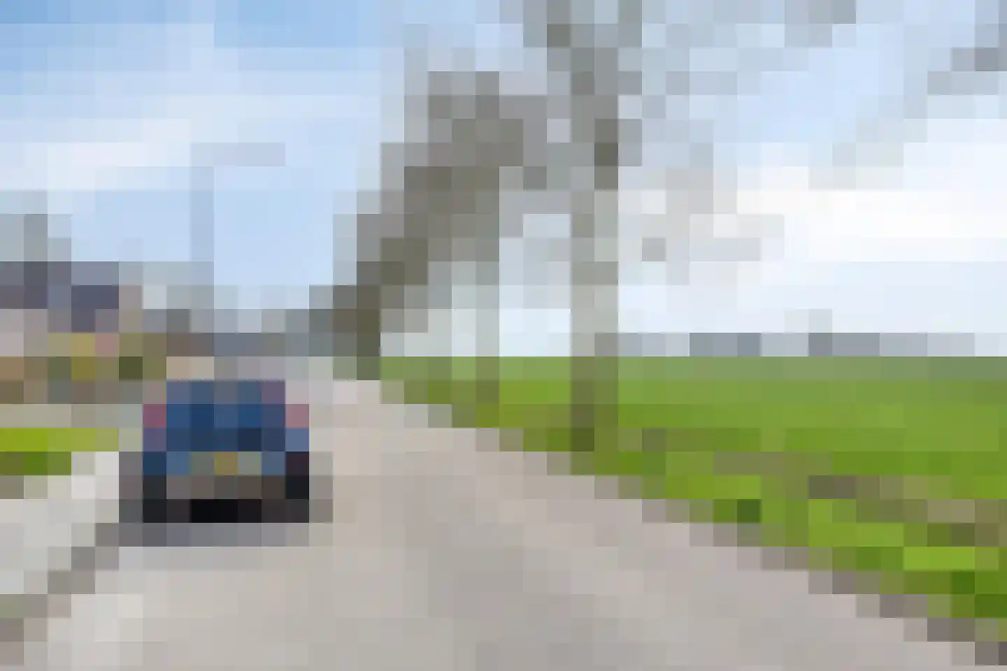Fazant 19 Grijpskerk thumbnail 56