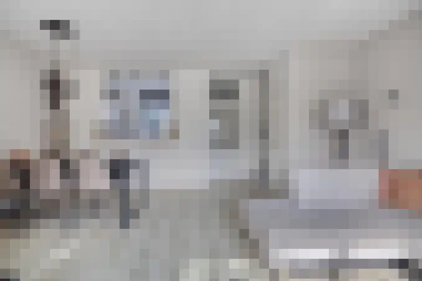 Fazant 19 Grijpskerk thumbnail 8