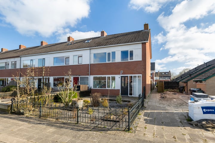 Fazant 2 in Dokkum foto