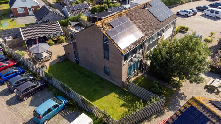 Fazant 21 in Grijpskerk foto