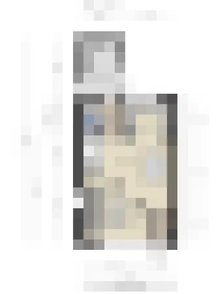 Fazant 21 Grijpskerk thumbnail 10