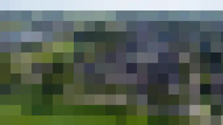 Fazant 21 Grijpskerk thumbnail 17