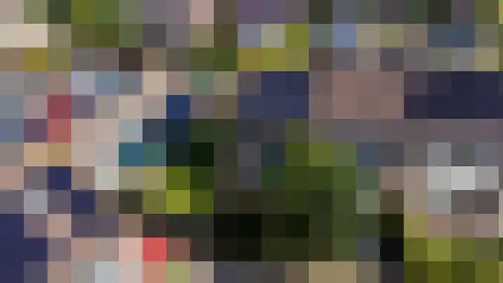 Fazant 21 Grijpskerk thumbnail 18