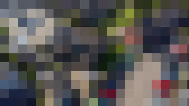 Fazant 21 Grijpskerk thumbnail 19
