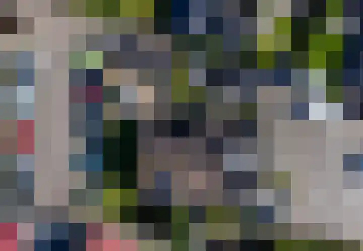 Fazant 21 Grijpskerk thumbnail 20
