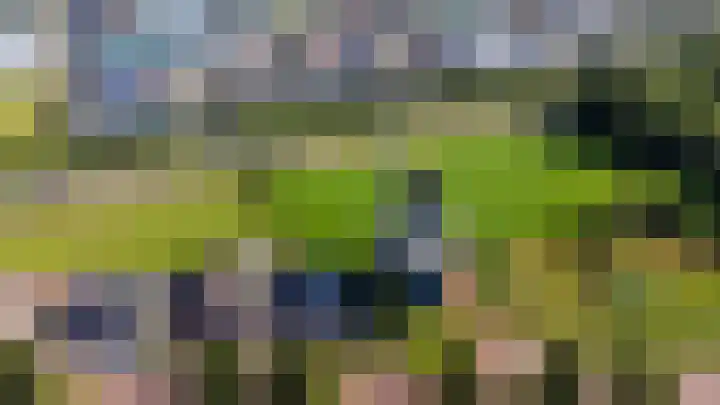 Fazant 21 Grijpskerk thumbnail 21