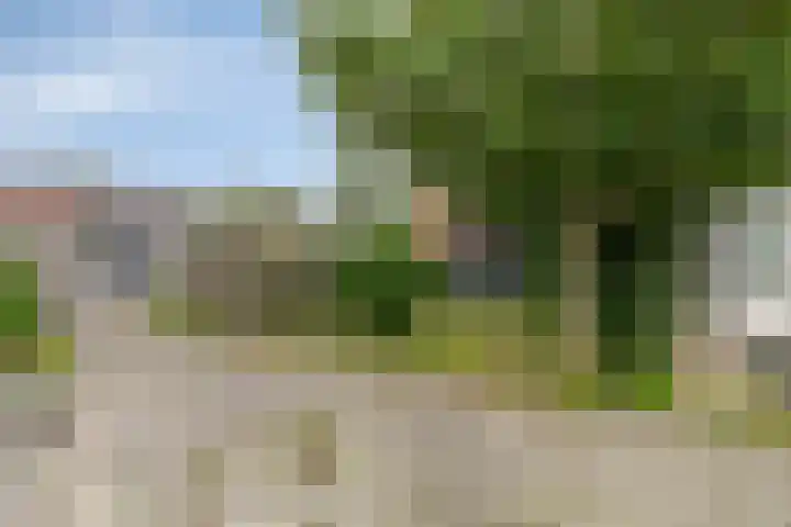 Fazant 21 Grijpskerk thumbnail 23