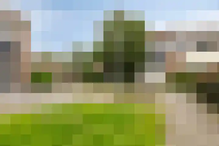 Fazant 21 Grijpskerk thumbnail 25