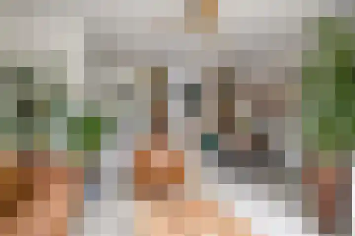 Fazant 21 Grijpskerk thumbnail 29