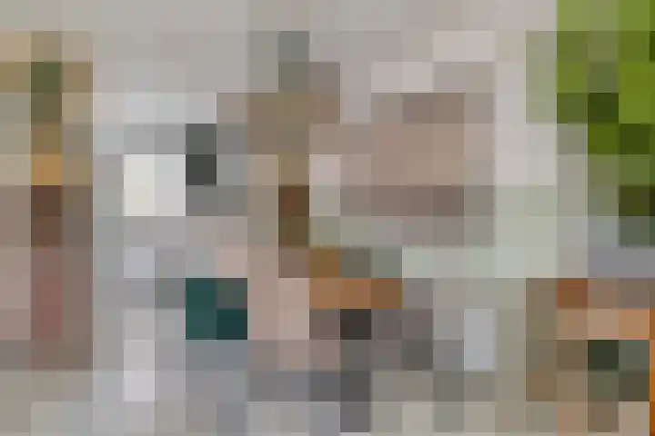 Fazant 21 Grijpskerk thumbnail 30