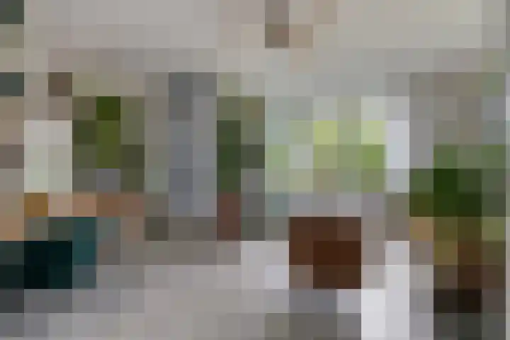 Fazant 21 Grijpskerk thumbnail 32