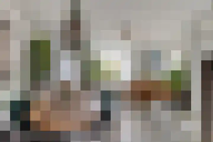 Fazant 21 Grijpskerk thumbnail 33