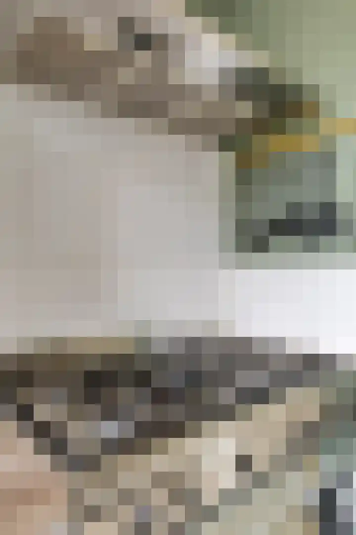 Fazant 21 Grijpskerk thumbnail 36