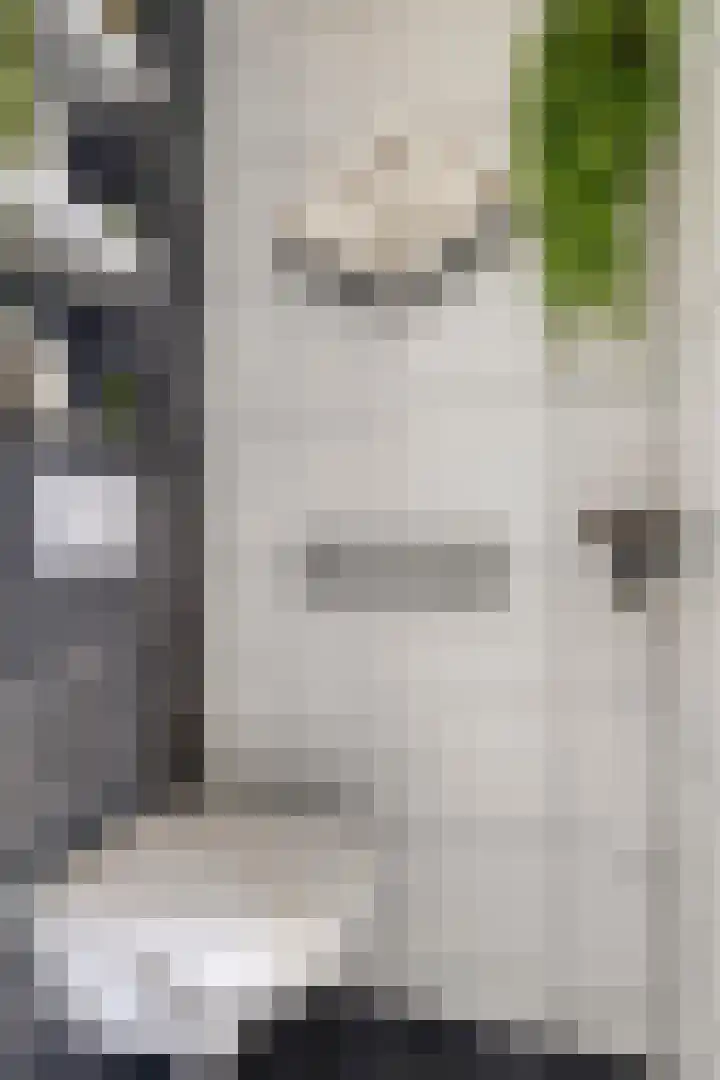 Fazant 21 Grijpskerk thumbnail 39