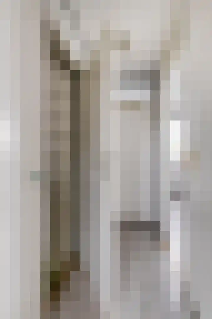 Fazant 21 Grijpskerk thumbnail 41