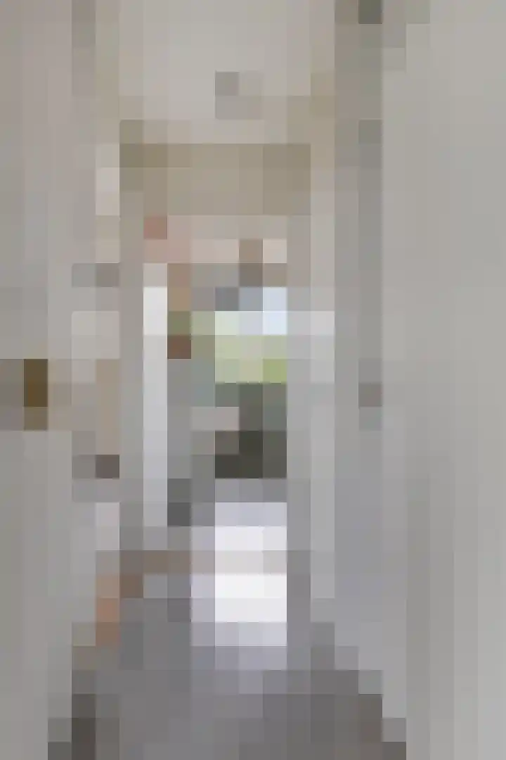 Fazant 21 Grijpskerk thumbnail 42