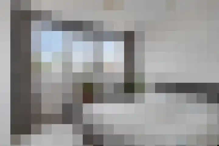 Fazant 21 Grijpskerk thumbnail 43