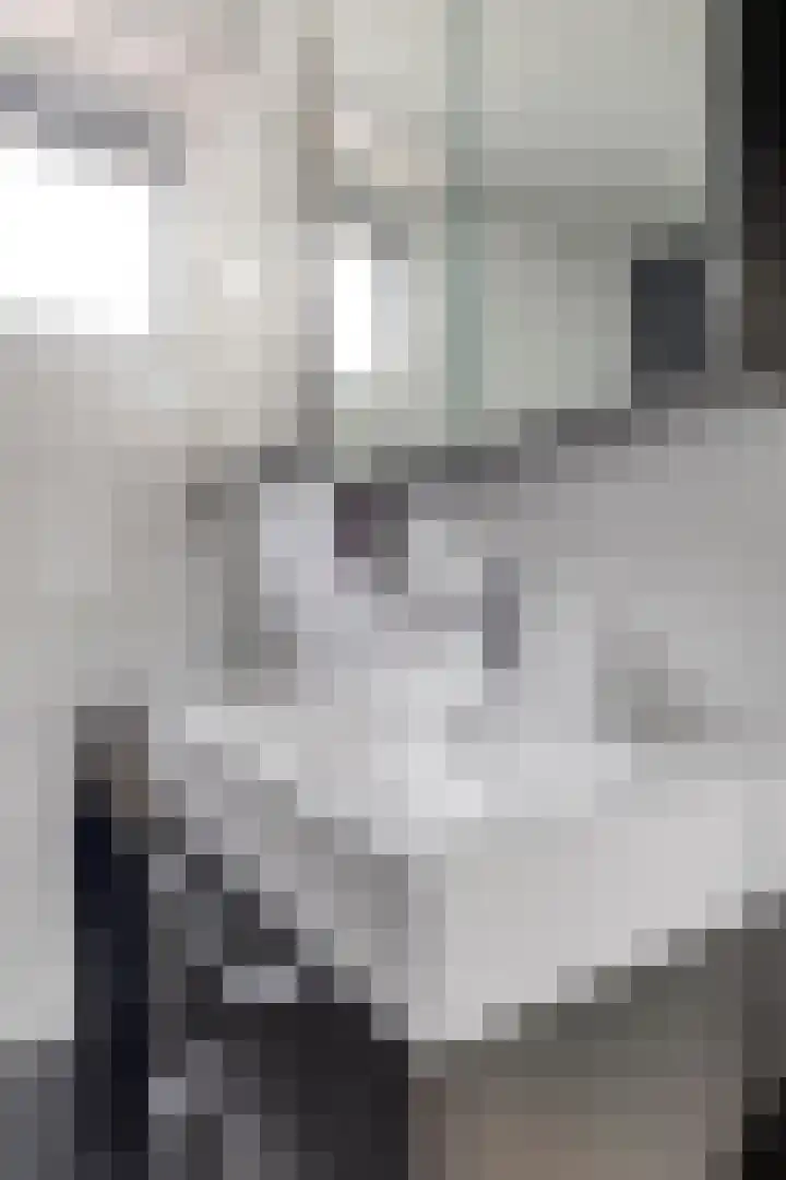 Fazant 21 Grijpskerk thumbnail 47