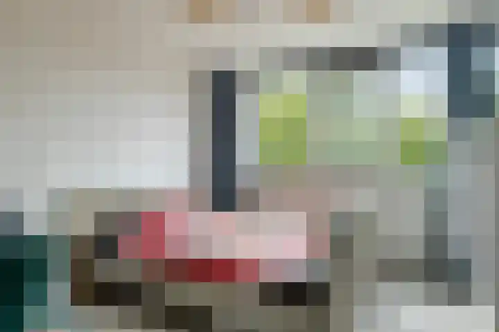 Fazant 21 Grijpskerk thumbnail 48