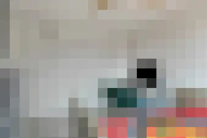 Fazant 21 Grijpskerk thumbnail 49