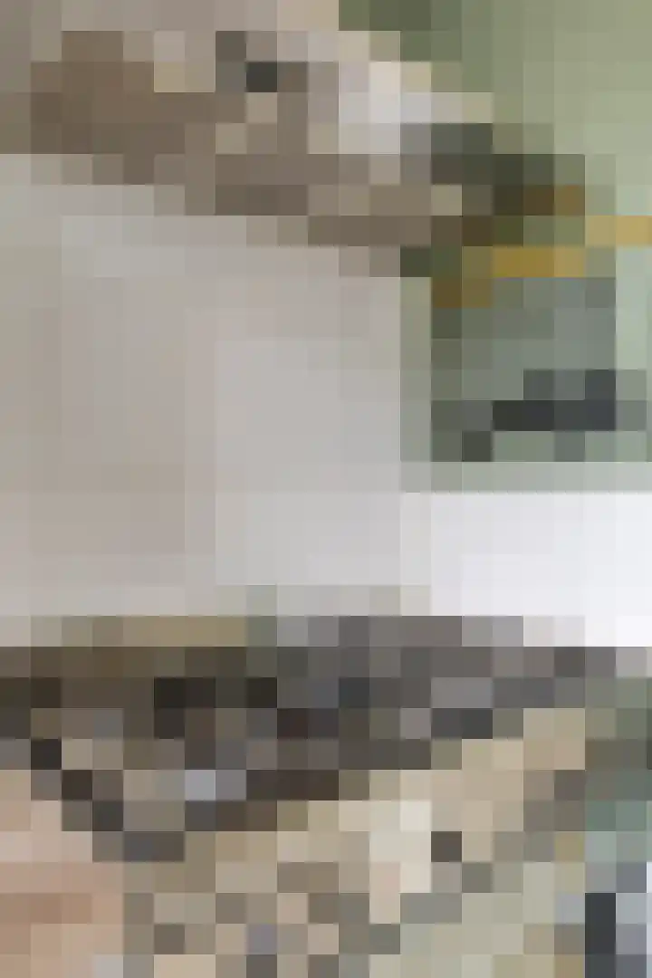 Fazant 21 Grijpskerk thumbnail 5