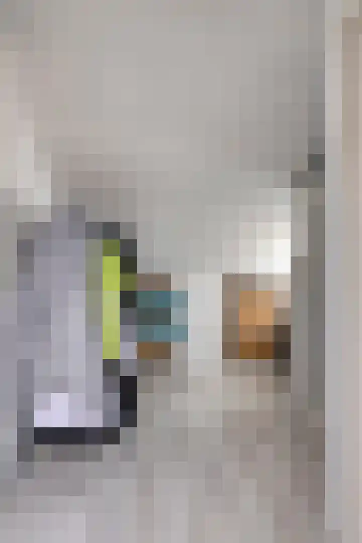 Fazant 21 Grijpskerk thumbnail 52