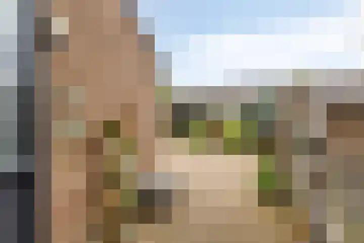 Fazant 21 Grijpskerk thumbnail 55