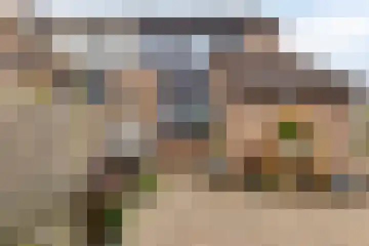 Fazant 21 Grijpskerk thumbnail 57