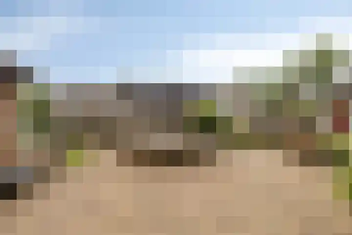 Fazant 21 Grijpskerk thumbnail 59
